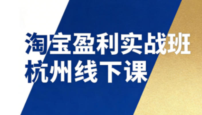 淘宝盈利实战班杭州线下课12月26-28日(音频+字幕)，帮你掌握SOP流程+12门核心技术-shxbox省心宝盒