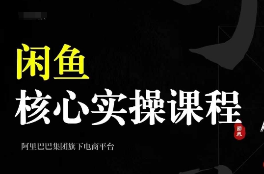 2024闲鱼核心实操课程，从养号、选品、发布、销售，教你做一个出单的闲鱼号-shxbox省心宝盒