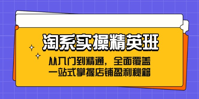 淘系实操精英班：从入门到精通，全面覆盖，一站式掌握店铺盈利秘籍-shxbox省心宝盒