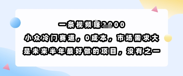 一条视频挣1k，小众冷门赛道，0成本，市场需求大，是未来半年最好做的项目，没有之一-shxbox省心宝盒