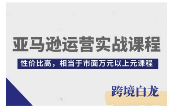 亚马逊运营实战课程，亚马逊从入门到精通，性价比高，相当于市面万元以上元课程-shxbox省心宝盒
