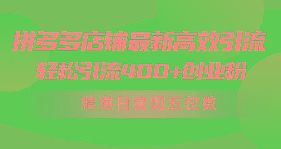 (10041期)拼多多店铺最新高效引流术，轻松引流400+创业粉，精准日变现五位数！-shxbox省心宝盒