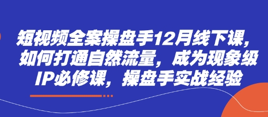 短视频全案操盘手12月线下课，如何打通自然流量，成为现象级IP必修课，操盘手实战经验-shxbox省心宝盒