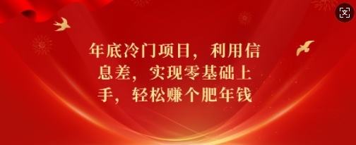 年底冷门项目，利用信息差，实现零基础上手，轻松赚个肥年钱【揭秘】-shxbox省心宝盒