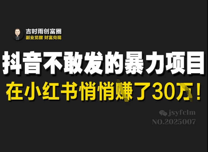 抖音不敢发的暴利项目，在小红书悄悄挣了30W-shxbox省心宝盒