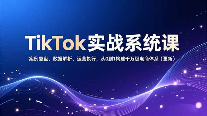TikTok实战系统课，案例复盘、数据解析、运营执行，从0到1构建千万级电商体系(更新-shxbox省心宝盒