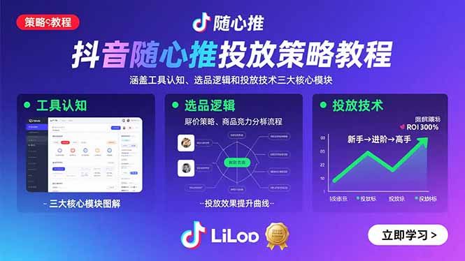 抖音随心推投放策略教程：涵盖工具认知、选品逻辑和投放技术三大核心模块-shxbox省心宝盒