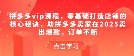 拼多多vip课程，零基础打造店铺的核心秘诀，助拼多多卖家在2025卖出爆款，订单不断-shxbox省心宝盒
