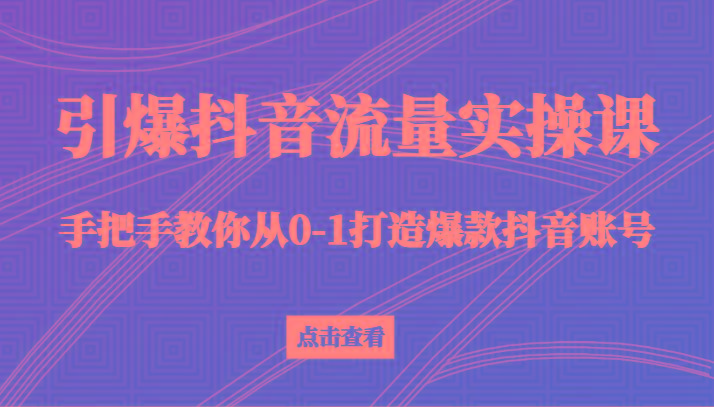 引爆抖音流量实操课，手把手教你从0-1打造爆款抖音账号(27节课)-shxbox省心宝盒