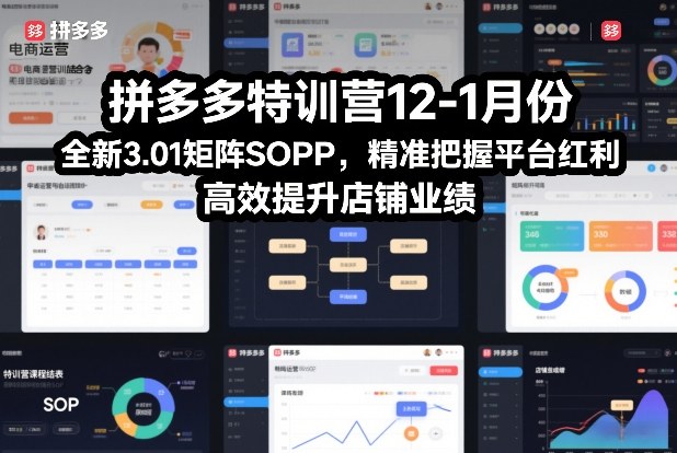 拼多多特训营12-1月份，全新3.01矩阵Sop，精准把握平台红利，高效提升店铺业绩-shxbox省心宝盒