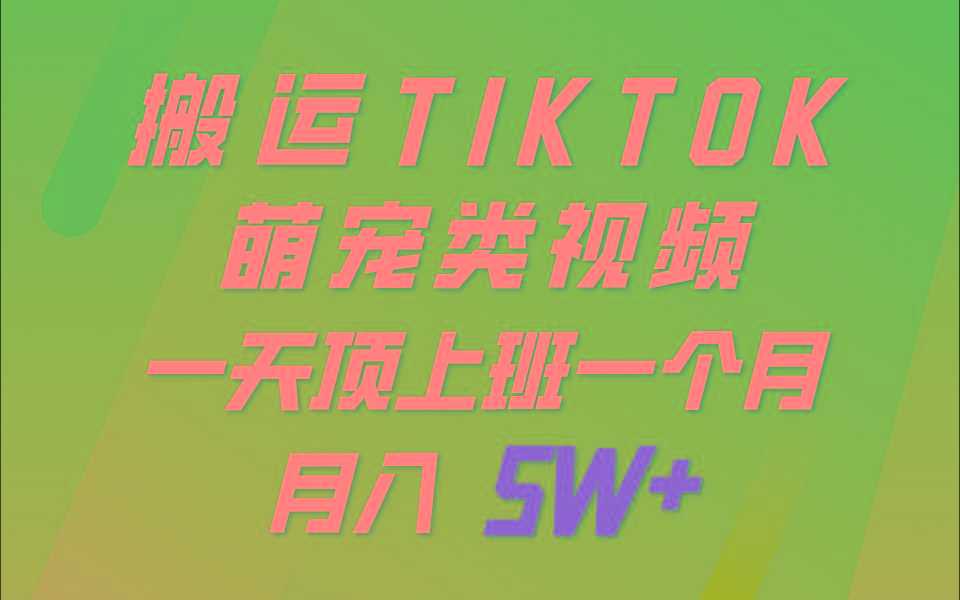 一键搬运TIKTOK萌宠类视频，一部手机即可操作，所有平台均可发布 轻松月入5W+-shxbox省心宝盒