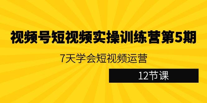 视频号短视频实操训练营第5期：7天学会短视频运营(12节课)-shxbox省心宝盒