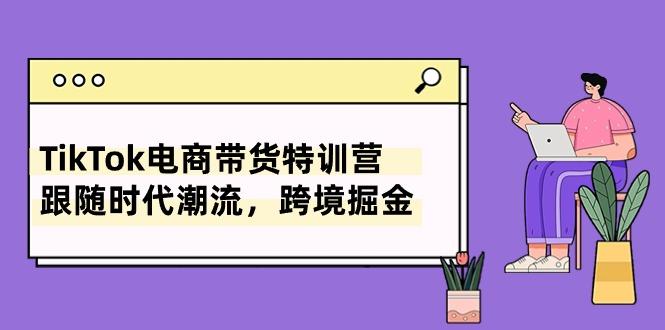 TikTok电商带货特训营，跟随时代潮流，跨境掘金(8节课-shxbox省心宝盒