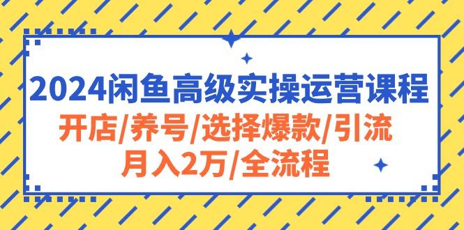 2024闲鱼高级实操运营课程：开店/养号/选择爆款/引流/月入2万/全流程-shxbox省心宝盒