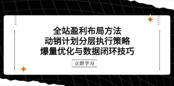 全站盈利布局方法：动销计划分层执行策略，爆量优化与数据闭环技巧-shxbox省心宝盒