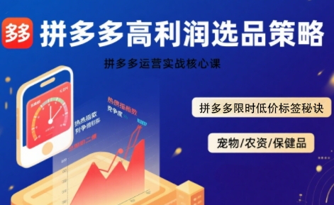 拼多多选品暴利技术实战课，拼多多高利润选品策略，拼多多限时低价标签秘诀-shxbox省心宝盒