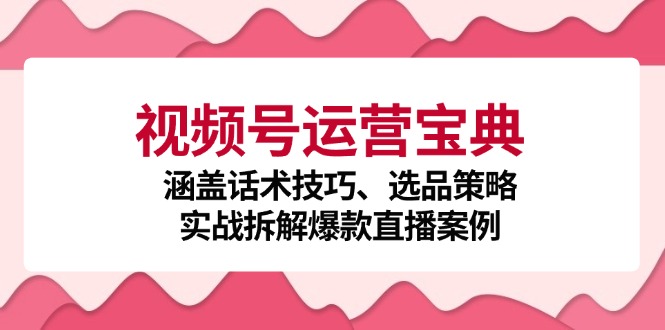 视频号运营宝典：涵盖话术技巧、选品策略、实战拆解爆款直播案例-shxbox省心宝盒