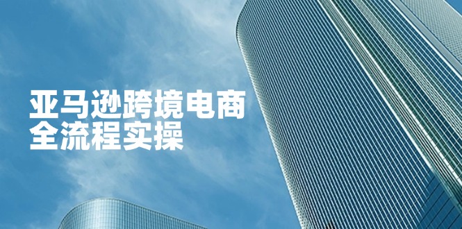 亚马逊跨境电商全流程实操，教你从零开始，掌握店铺运营与广告技巧-shxbox省心宝盒