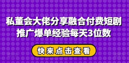私董会大佬分享融合付费短剧推广爆单经验每天3位数-shxbox省心宝盒