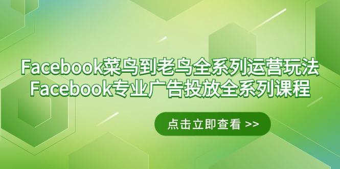 Facebook-菜鸟到老鸟全系列运营玩法+Facebook-专业广告投放全系列课程-shxbox省心宝盒