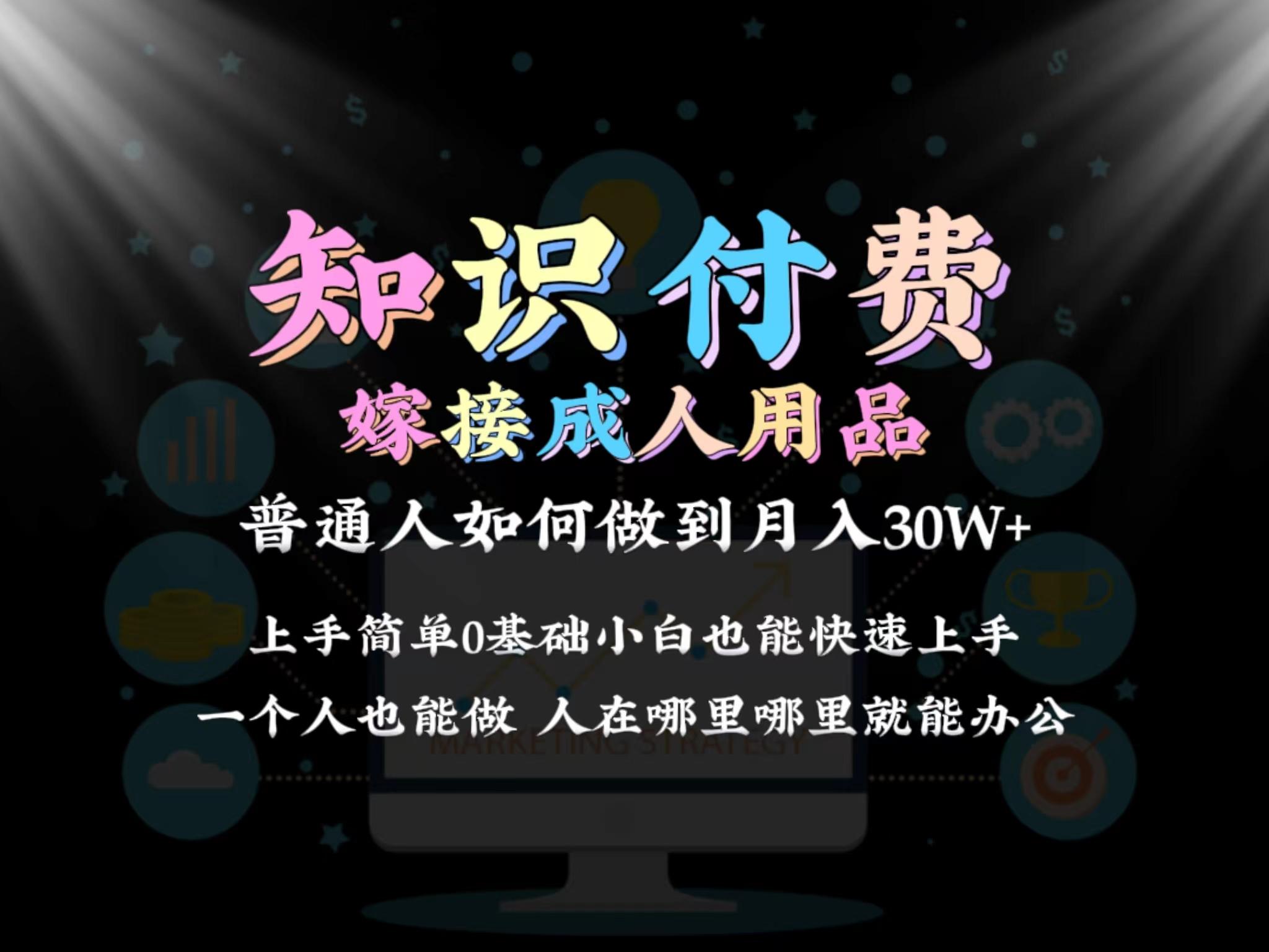 2024普通人做知识付费结合成人用品如何实现单月变现30w 保姆教学1.0-shxbox省心宝盒