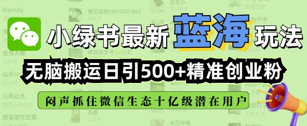 小绿书无脑搬运引流，全自动日引500精准创业粉，微信生态内又一个闷声发财的机会-shxbox省心宝盒