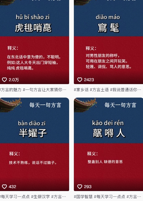 抖音最新涨粉玩法，图文方言暴力涨粉实操，126作品涨粉11W-shxbox省心宝盒