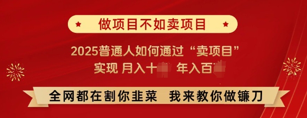 必看，做项目不如卖项目，2025普通人如何通过“卖项目”实现月入十个，年入百个-shxbox省心宝盒