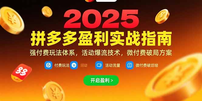拼多多盈利实战指南，强付费玩法，活动爆流技术，微付费破局方案(更新7月-shxbox省心宝盒
