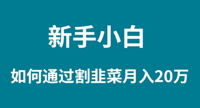 (9308期)新手小白如何通过割韭菜月入 20W-shxbox省心宝盒