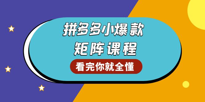 拼多多爆款矩阵课程：教你测出店铺爆款，优化销量，提升GMV，打造爆款群-shxbox省心宝盒