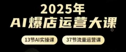2025年AI爆店运营大课，13节AI实操课+37节流量运营课-shxbox省心宝盒