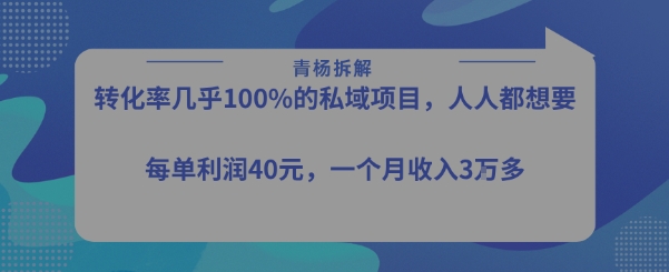 转化率最高的私域项目,每单利润40-50米,月入过1w-shxbox省心宝盒