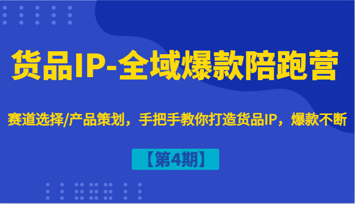 货品IP-全域爆款陪跑营【第4期】赛道选择/产品策划，手把手教你打造货品IP，爆款不断-shxbox省心宝盒