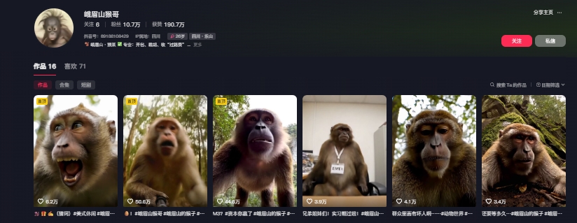 最新爆火的峨眉山猴子短视频制作教程，条条点赞10w+，谁做谁火【教程+提示词】-shxbox省心宝盒