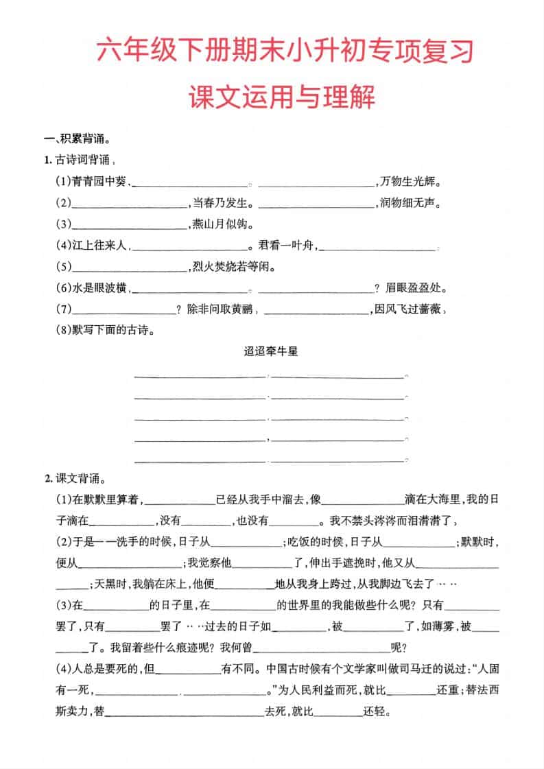 六年级下语文小升初课文运用与理解专项练习-shxbox省心宝盒