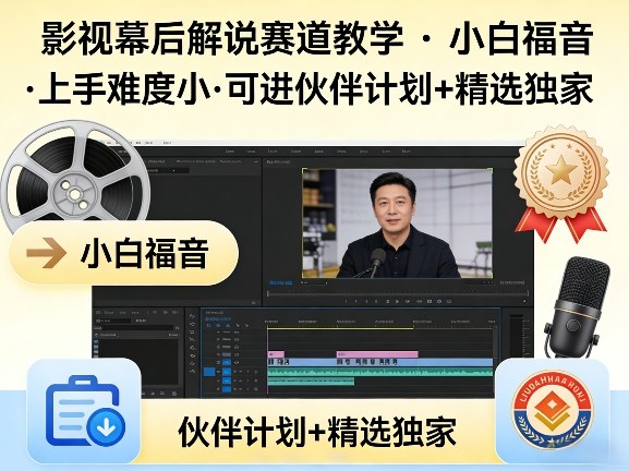 某大佬的影视幕后解说赛道教学，小白福音，上手难度小，可进伙伴计划+精选独家-shxbox省心宝盒