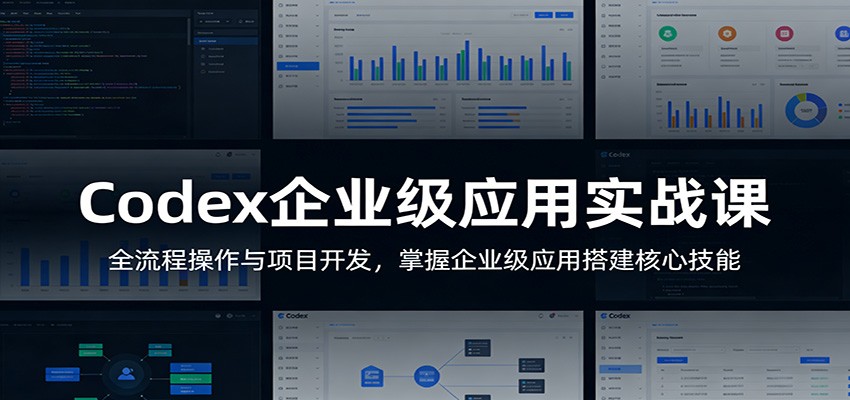 Codex企业级应用实战课：全流程操作与项目开发，掌握企业级应用搭建核心技能-shxbox省心宝盒
