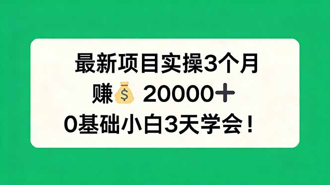 最新项目实操3个月，赚钱20000+，0基础小白3天学会！-shxbox省心宝盒