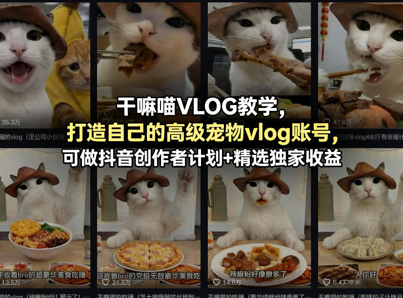 干嘛喵VLOG教学，打造自己的高级宠物vlog账号，可做抖音创作者计划+精选独家收益-shxbox省心宝盒