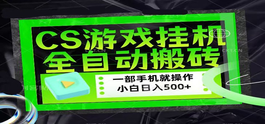 CSGO游戏挂机捡漏搬砖，超稳定的项目，带领1000+小白实现日入500+-shxbox省心宝盒