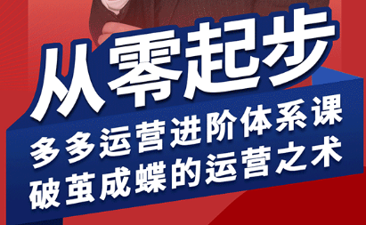海神·拼多多运营进阶系统课(更新2026)-shxbox省心宝盒
