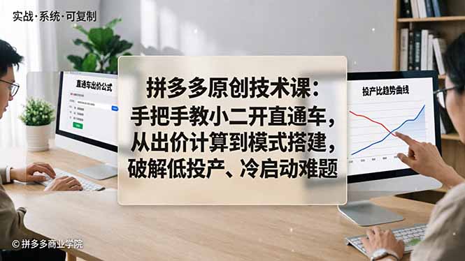 拼多多原创技术课：手把手教小二开直通车，从出价计算到模式搭建，破解低投产、冷启动难题-shxbox省心宝盒