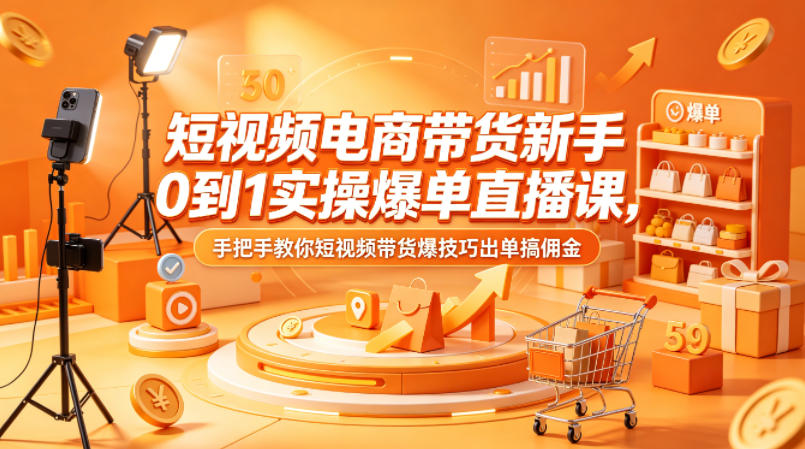 短视频电商带货新手0到1实操爆单直播课，手把手教你短视频带货爆技巧出单搞佣金-shxbox省心宝盒