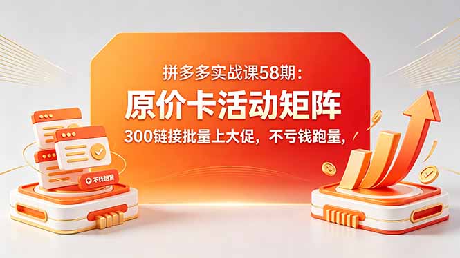 拼多多实战课58期：原价卡活动矩阵，300链接批量上大促，不亏钱跑量-shxbox省心宝盒