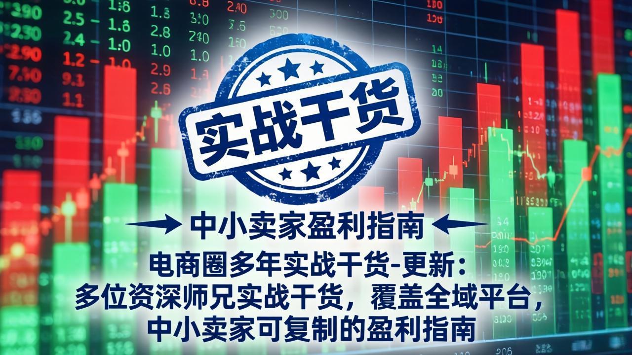 电商圈多年实战干货-更新5月10：多位资深师兄实战干货/覆盖全域平台，中小卖家可复制的盈利指南-shxbox省心宝盒