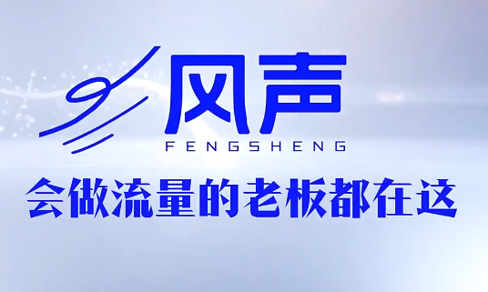董十一·风声短视频AI获客年度会员-shxbox省心宝盒