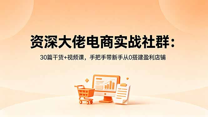资深大佬电商实战社群：30篇干货+视频课，手把手带新手从0搭建盈利店铺-shxbox省心宝盒
