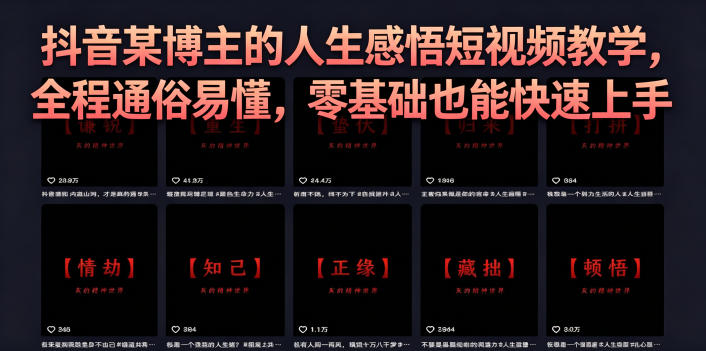 抖音某博主的灰太狼人生感悟短视频教学，全程通俗易懂，零基础也能快速上手-shxbox省心宝盒