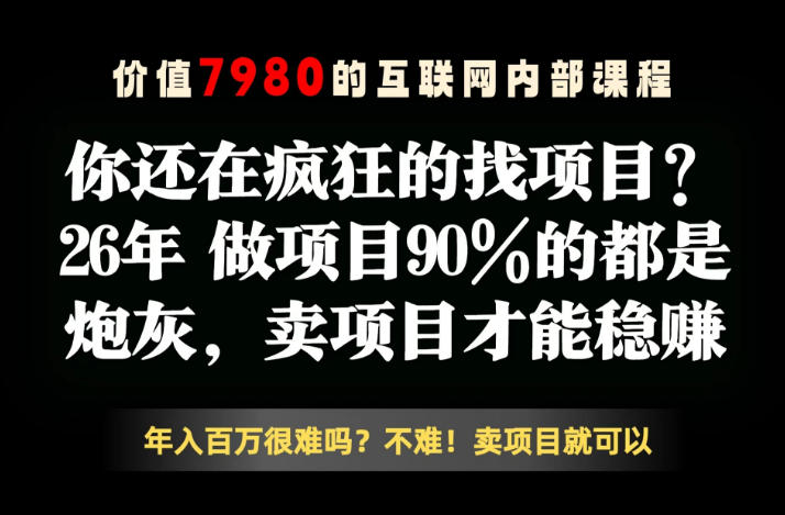 26年请不要疯狂的找项目了，卖项目远比你想象的暴利，你也可以月入10W+【揭秘】-shxbox省心宝盒